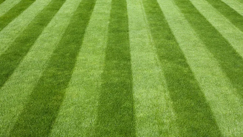 Fotboll, jordförbättring, dränerande, näringsbank-Jordförbättring-Biokol--turn-green