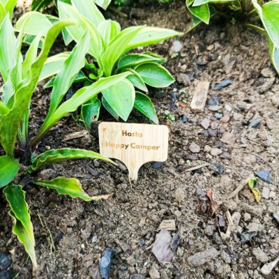 Skylt med gravyr Hosta Happy Camper.
