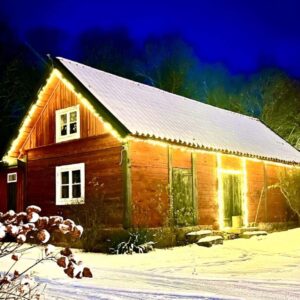 Julbelysning KONT-100-10014 Fjärrströmbrytare wifi Turn Green AB