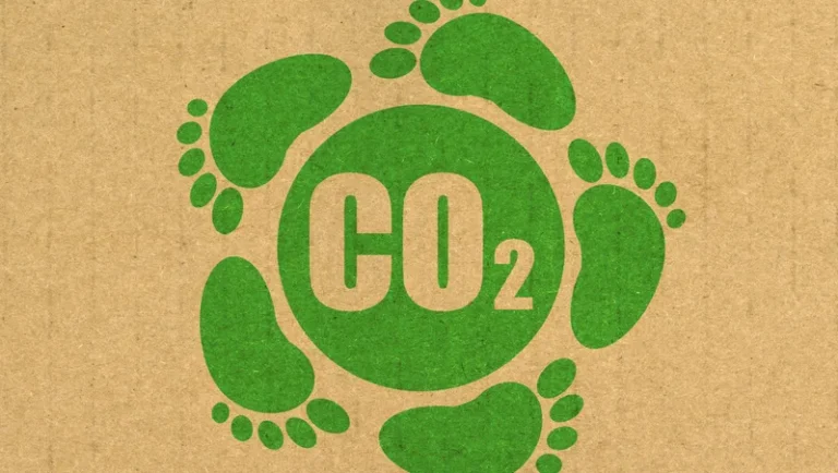 Biokol som kolsänka och binda CO2 i marken