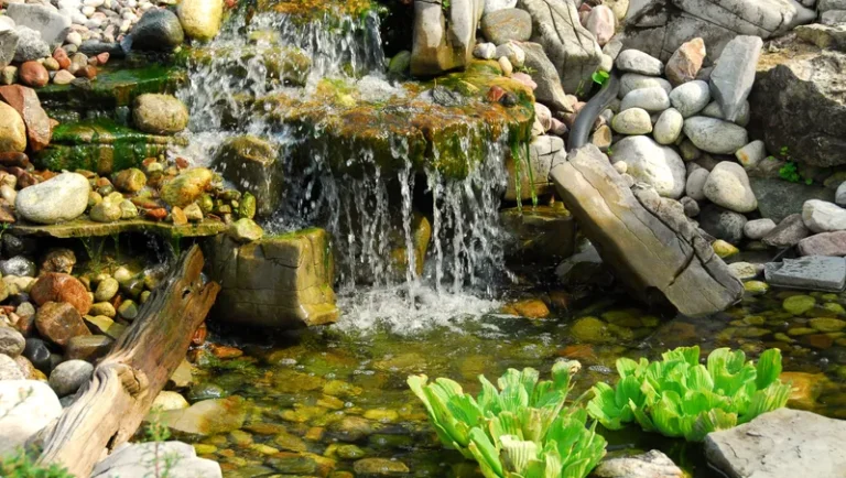 Använda biokol för att rena vatten