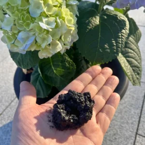 Laddad biokol i handen med en Hortensia i bakgrunden