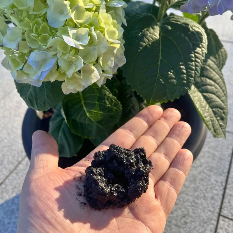 Laddad biokol i handen med en Hortensia i bakgrunden