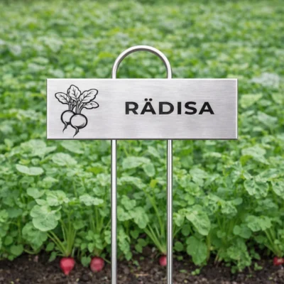 Rostfri växtskylt med gravyr RÄDISA och rädiseikon placerad i rädiseodling.
